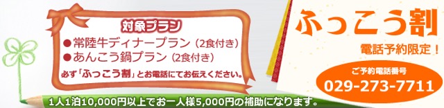 ふっこう割