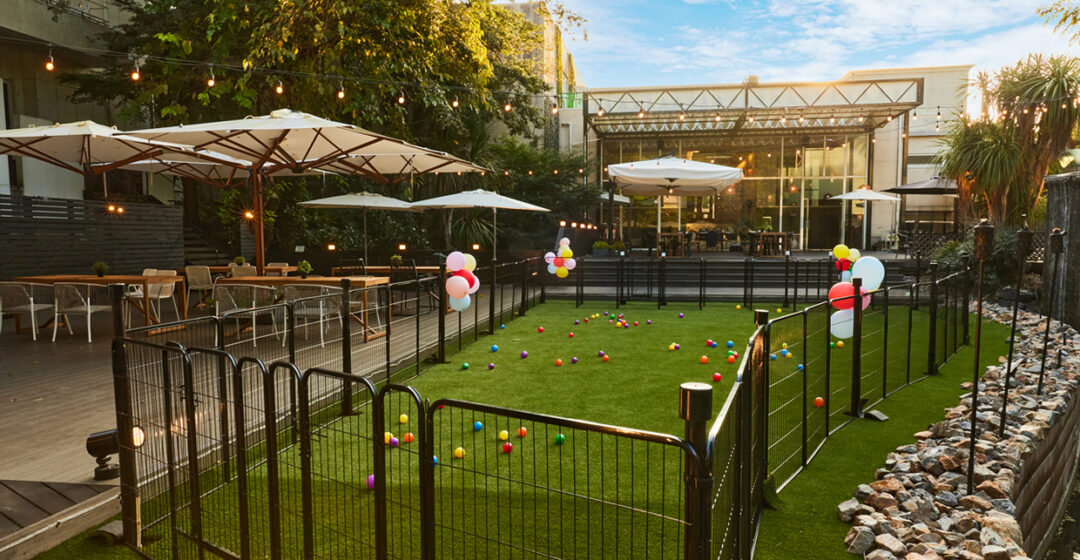 Dog Cafe Jardin ドッグカフェ ジャルダンの店舗画像2