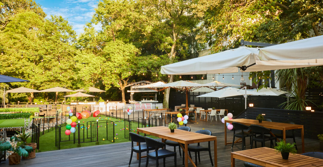 Dog Cafe Jardin ドッグカフェ ジャルダンの店舗画像1